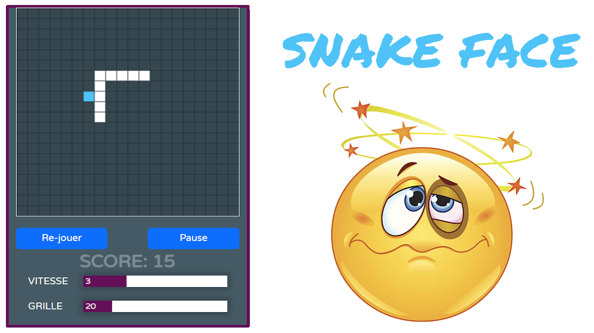 Illustration du démonstrateur Snake Face