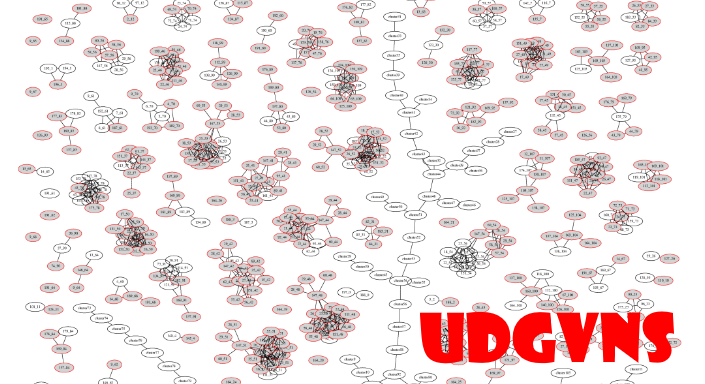 Illustration du démonstrateur UDGVNS